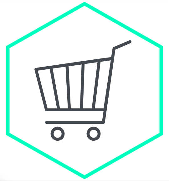 Web store design services icon